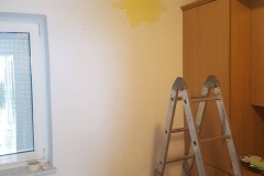 43647283_2019600858098668_6447195796235354112_n 43647283_2019600858098668_6447195796235354112_n